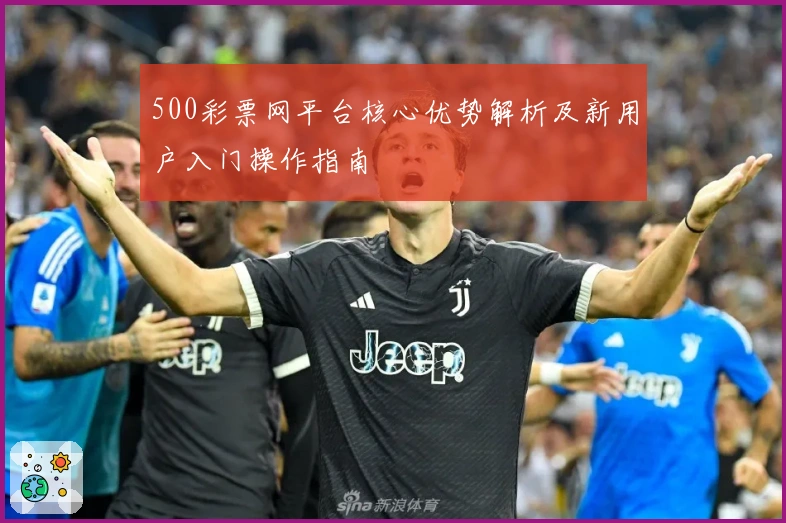 500彩票网平台核心优势解析及新用户入门操作指南