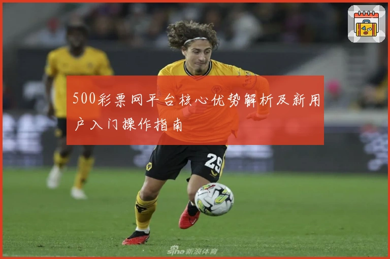 500彩票网平台核心优势解析及新用户入门操作指南